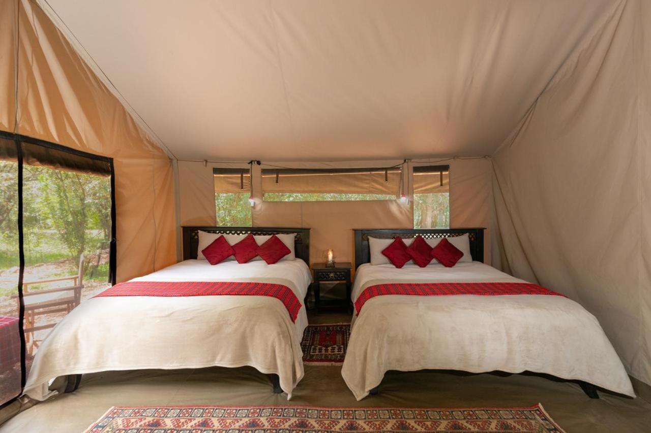 マサイマラ国立保護区 Hammerkop Migration Camp Bed & Breakfast エクステリア 写真